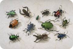 bugs